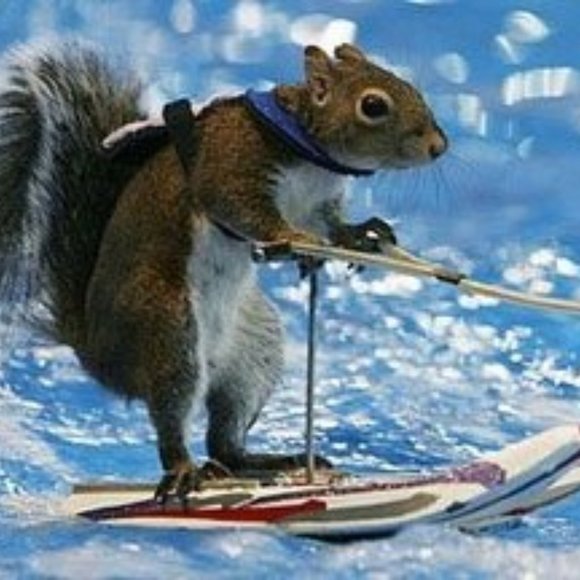 LIKE THIS FLYER to receive SHARE SHOW Notifications! Next Show: November 2025 - Picture 12 of 12